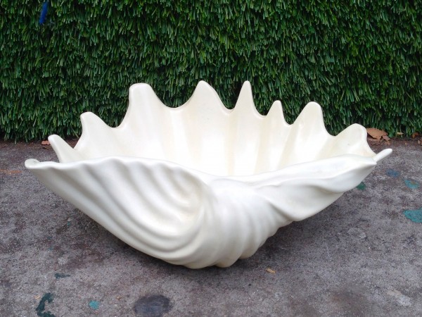 shell bowl