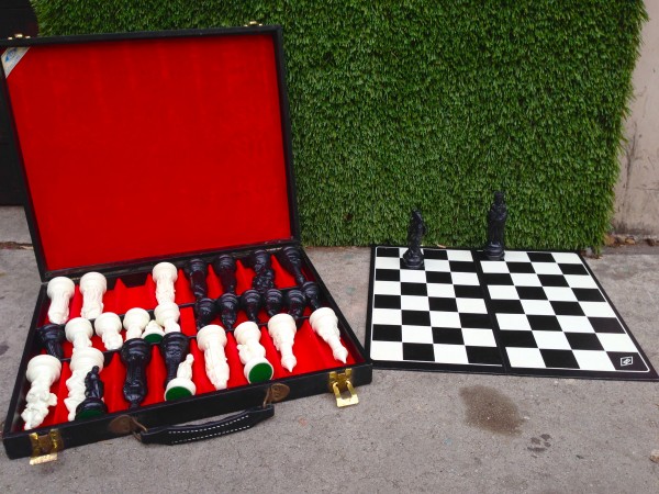 beautiful chess set with case