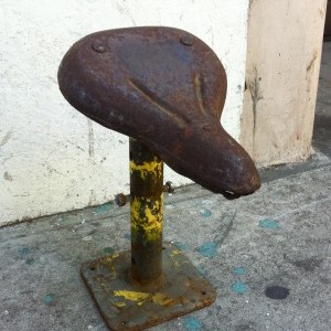 IMG_2631-300x401