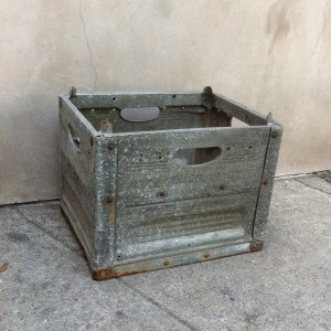 IMG_3365-300x401