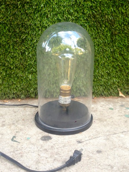 glass encased light