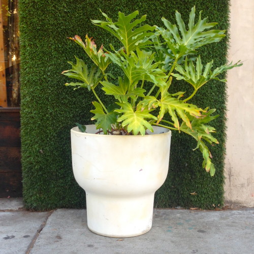 white fiberglass mid century planter