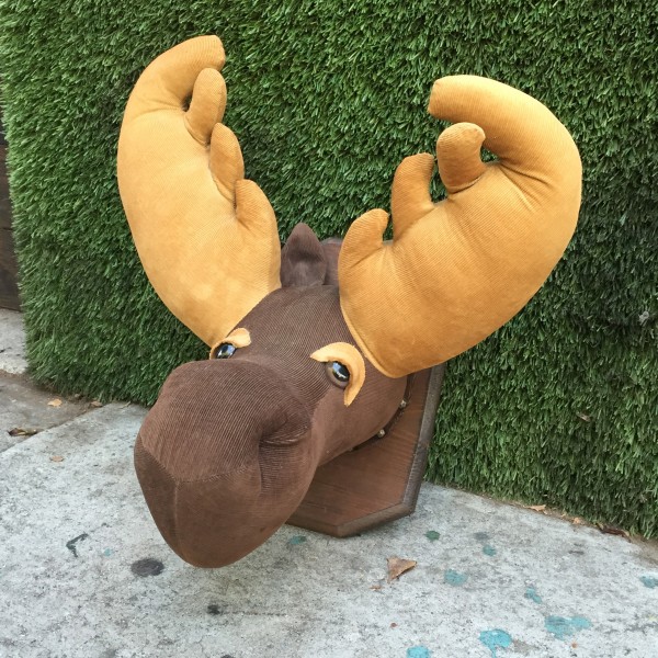 stuffed wall hanging moose