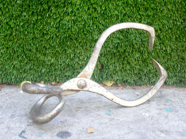 Ice tongs