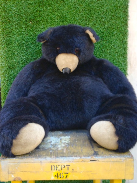 dark brown teddy bear