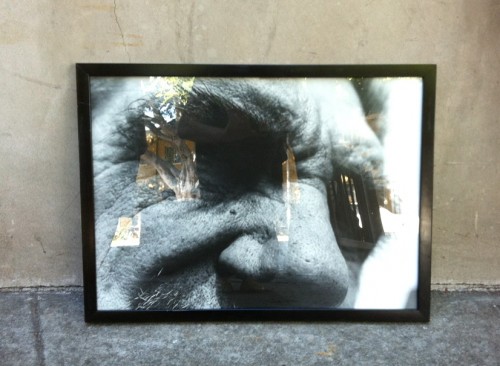 original framed black & white close up photo of old man